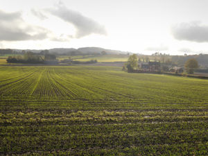 Supporting image for story: Mayor Andy Street criticises 'easy option' of building on Black Country green belt