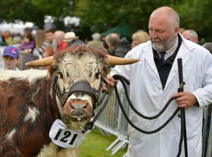 Supporting image for story: Crowds flock to Burwarton Show despite rain - with pictures