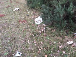Some of the litter seen near the A53 Hodnet bypass