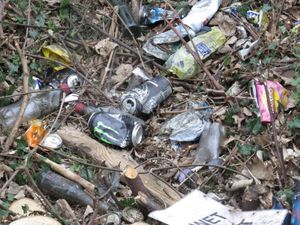 Supporting image for story: Waste collection points added for Bridgnorth litter pickers