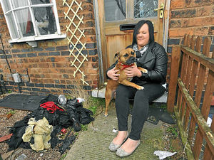 Supporting image for story: Dog Cody sniffs out blaze trouble at Stafford home
