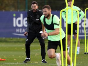 Supporting image for story: Corb the builder... can he fix it at West Brom? Yes, he can!