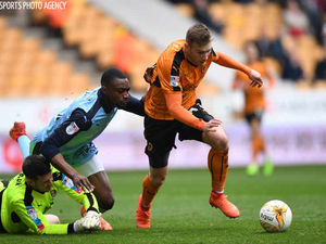 Supporting image for story: Wolves 1 Rotherham United 0 - Report and pictures
