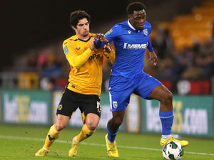 Supporting image for story: Wolves Fans' Verdict v Gillingham: January is a big month for the club