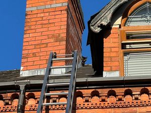 Supporting image for story: Cat rescued by firefighters after two nights on chilly roof