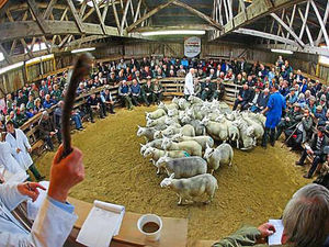 Supporting image for story: Take Churchill's advice and keep battling on