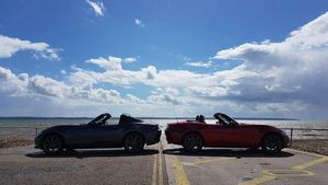 Supporting image for story