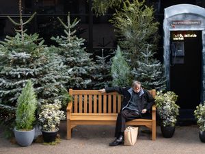 Supporting image for story