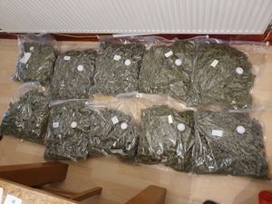 Supporting image for story: £200,000 worth of cannabis seized in Smethwick raid