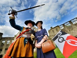 Supporting image for story: Black Country Festival: The line up for this year's event