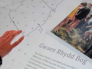 Supporting image for story: Third art competition announced in Llanwrtyd Wells after previous successes