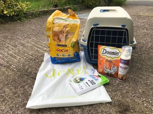 The cat was dumped with a plastic bag containing cat food, treats and flea treatment