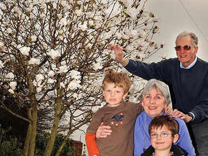 Supporting image for story: We want your magnificent magnolia pictures