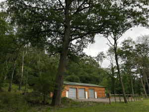 Supporting image for story: Nine acres of Wrekin woodland to go under the hammer