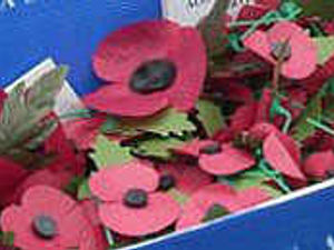 Supporting image for story: Conmen selling poppies