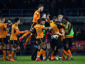 Supporting image for story: Cardiff City 0 Wolves 1 – player ratings