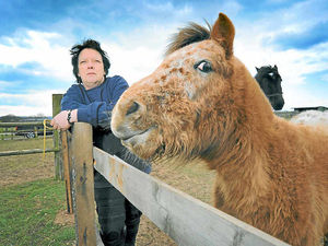 Supporting image for story: Heartache as cats killed in Aldridge paddock burglaries