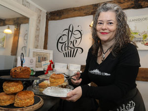 Supporting image for story: Innovative digital platform aims to revitalise Mid Wales town centres