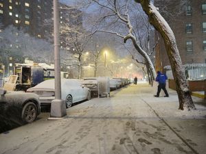 Supporting image for story: Travel ban and blizzard warnings as major storm hits north-east US