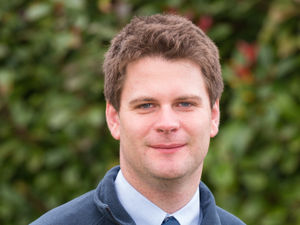 Supporting image for story: Takeaway spuds make a comeback