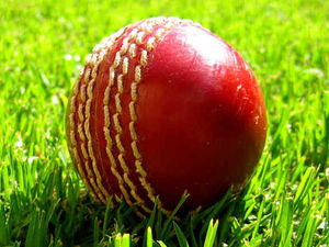 Supporting image for story: James Ralph to make seasonal Shropshire bow against Wales