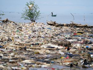 Supporting image for story: Countries urged to be ambitious in final push for UN plastic pollution treaty