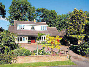 Supporting image for story: Properties of the Week