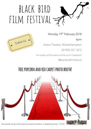 Black Bird Film Festival