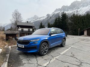 Supporting image for story: Long-term report: Is there no such thing as the perfect family car?