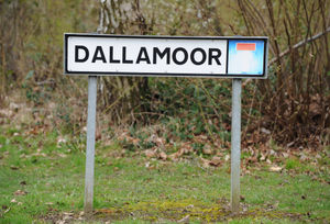 The incident happened at Dallamoor