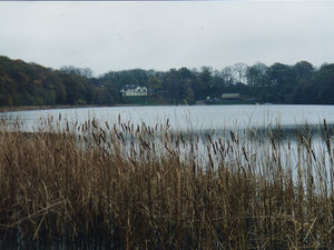 Supporting image for story: Fishy tale of Shropshire's monster of the deep