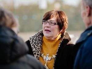 Supporting image for story: Former Dudley Council leader suspended by Tories amid Black Country Plan row