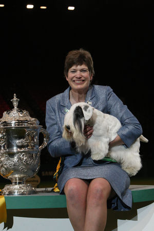 Hidalgo At Goodspice, Sealyham Terrier with Marjorie Good in 2009. Credit Lisa Croft-Elliott and the Kennel Club