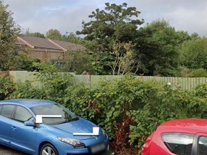 Supporting image for story: Plans for 19 new homes on site of former school in Bilston