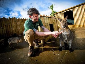 Supporting image for story: Councillors to meet over Telford zoo's retrospective planning application