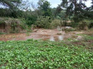 Supporting image for story: Dudley and Staffordshire residents without water supply due to burst main