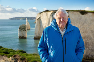 Ocean With David Attenborough: David Attenborough

