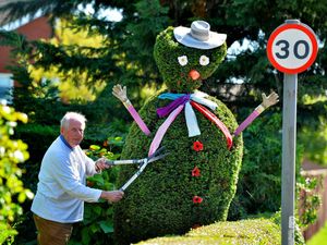 Supporting image for story: WATCH: Fred the bush given new scarf by mystery knitter