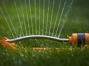 Supporting image for story: Taps run dry for up to five days as sprinklers and paddling pools blamed for water shortage