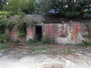 Supporting image for story: Group weighs in to save station's sole survivor 