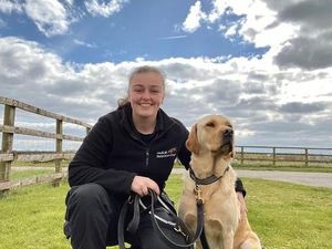 Supporting image for story: Student Olivia lands role training dogs for cutting edge coronavirus detection project