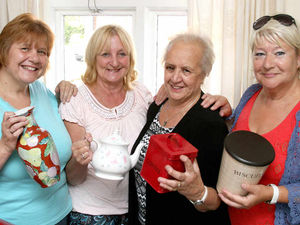 Supporting image for story: Campaign over Shropshire solar panels gathers pace