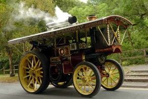 Supporting image for story: Mid Wales weekend events - in pictures