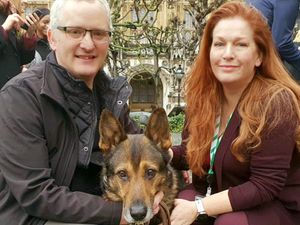 Supporting image for story: Law to toughen animal cruelty offences welcomed by Wolverhampton MP