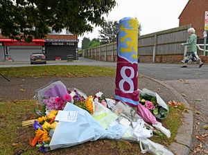 Supporting image for story: Anger and sadness in the air in village after man's death in dog attack