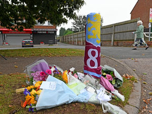 Supporting image for story: Anger and sadness in the air in village after man's death in dog attack