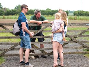 Supporting image for story: Seven reasons to visit a farm on Open Farm Sunday