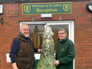 Supporting image for story: Estate donates Christmas trees to community
