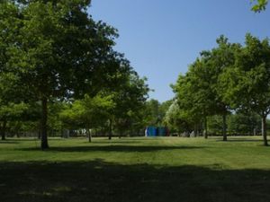 Supporting image for story: National Memorial Arboretum woodland in memory of those lost during pandemic to be 'permanent living memorial'