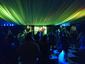 Supporting image for story: Wolvesfest 2018: Tinned Astronaut, The Boston Shakers, The Icon and more to play summer show